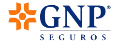 gnp seguros